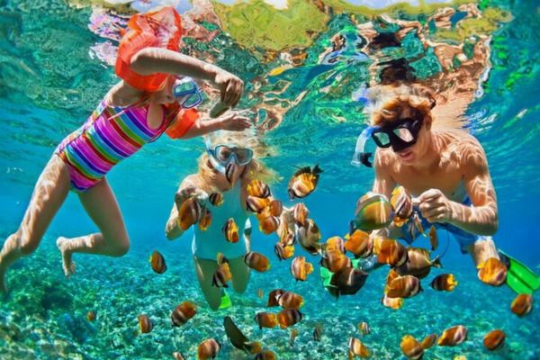 PASSEIO DE MERGULHO COM SNORKEL NO RECIFE DE NIZUC